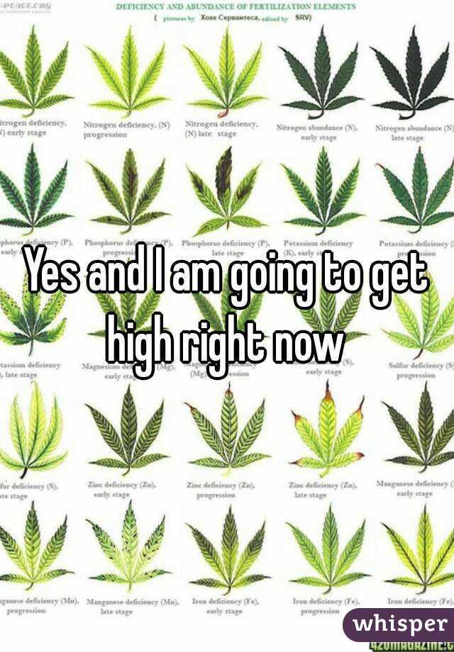 Yes and I am going to get high right now 