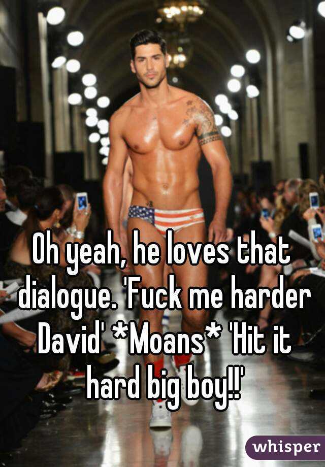 Oh yeah, he loves that dialogue. 'Fuck me harder David' *Moans* 'Hit it hard big boy!!'