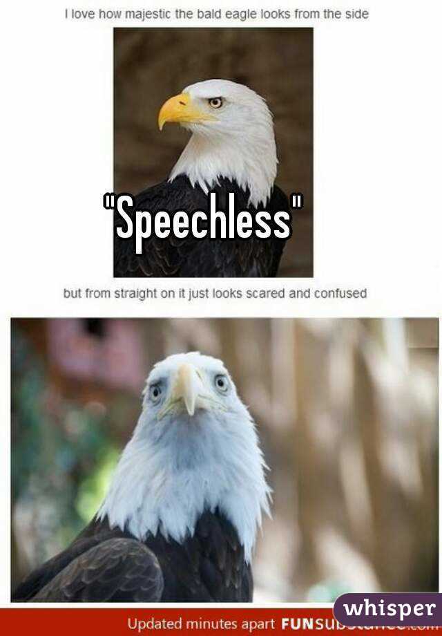 "Speechless"