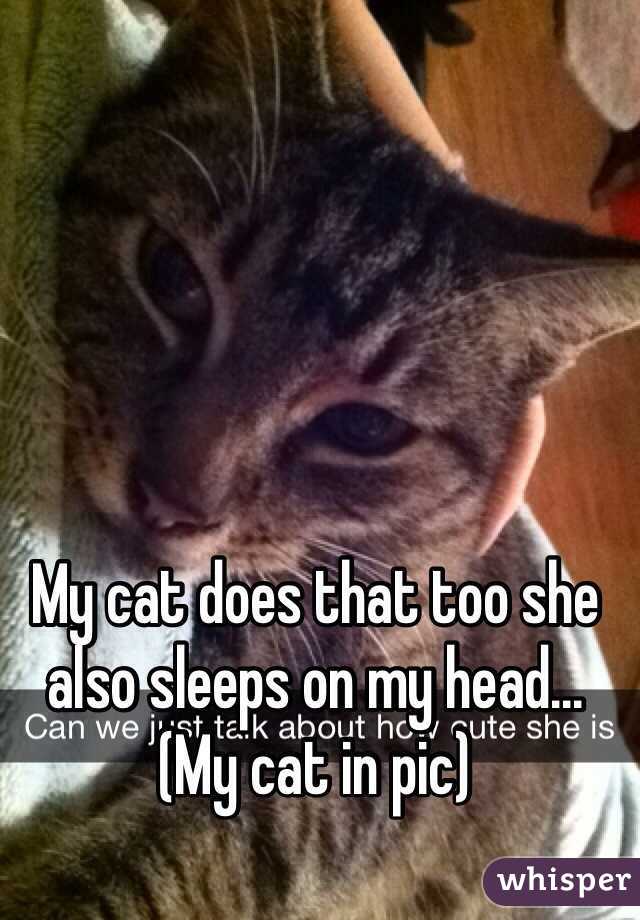 My cat does that too she also sleeps on my head... (My cat in pic)