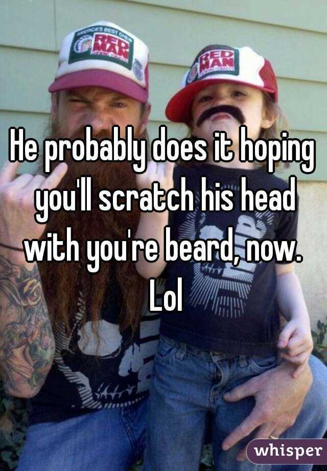 He probably does it hoping you'll scratch his head with you're beard, now.  Lol