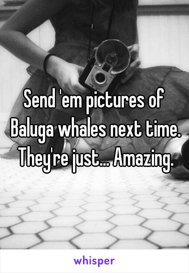 Send 'em pictures of Baluga whales next time. They're just... Amazing.