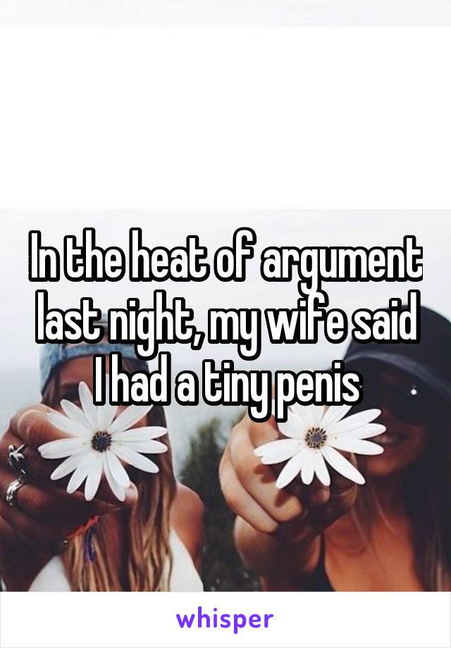 In the heat of argument last night, my wife said I had a tiny penis