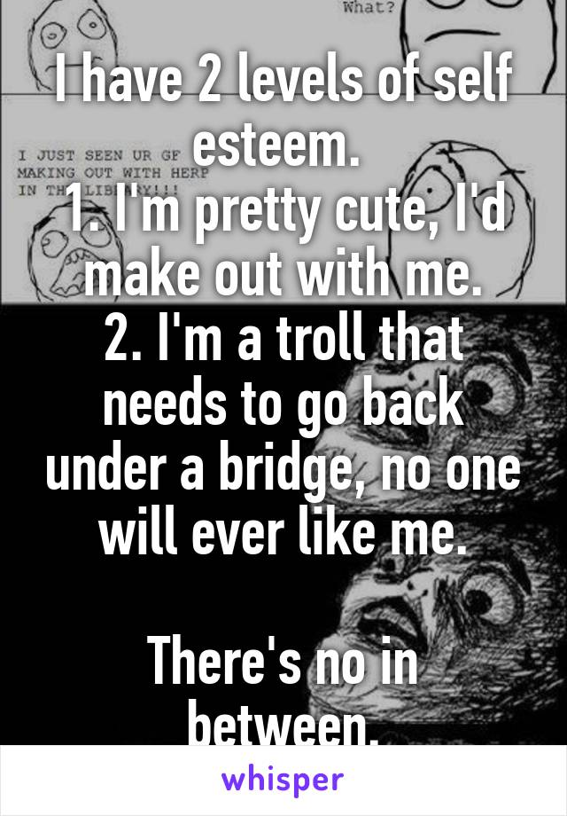 I have 2 levels of self esteem. 
1. I'm pretty cute, I'd make out with me.
2. I'm a troll that needs to go back under a bridge, no one will ever like me.

There's no in between.