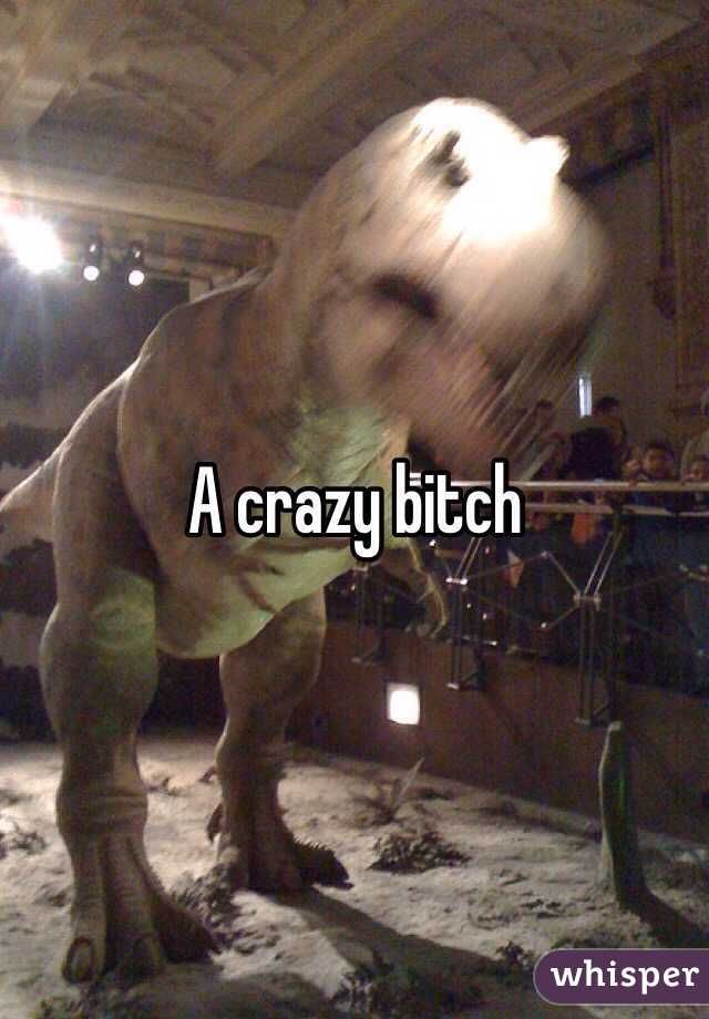 A crazy bitch