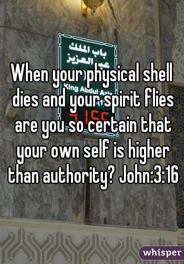 When your physical shell dies and your spirit flies are you so certain that your own self is higher than authority? John:3:16