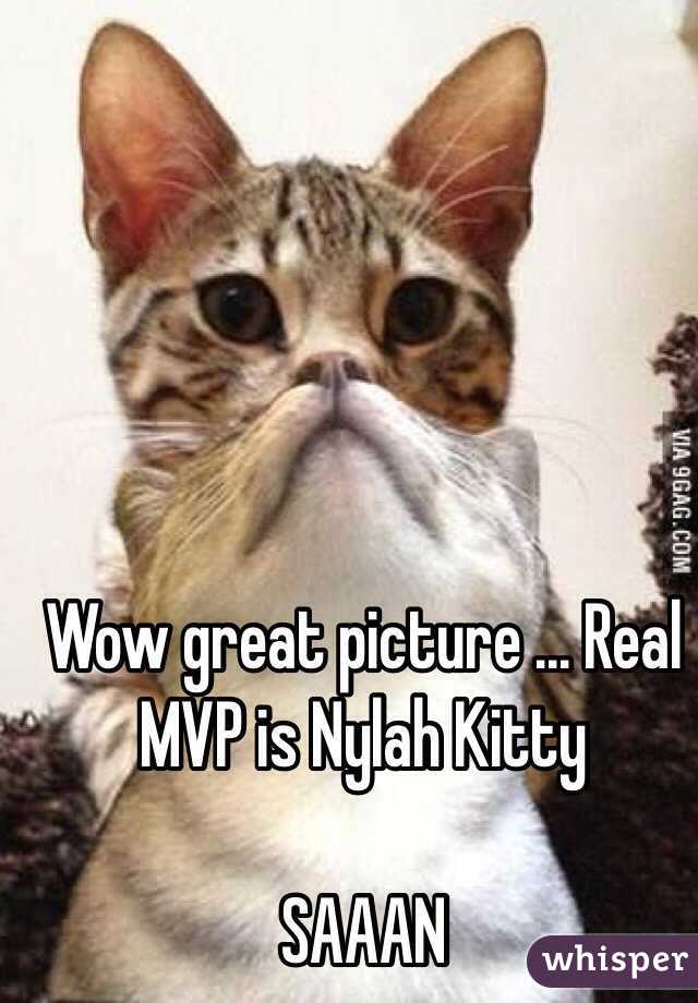 Wow great picture ... Real MVP is Nylah Kitty 

SAAAN