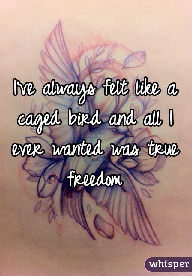 I've always felt like a caged bird and all I ever wanted was true freedom 