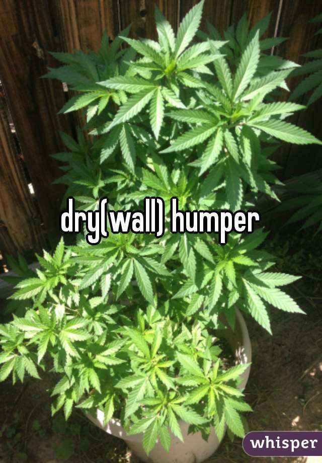 dry(wall) humper
