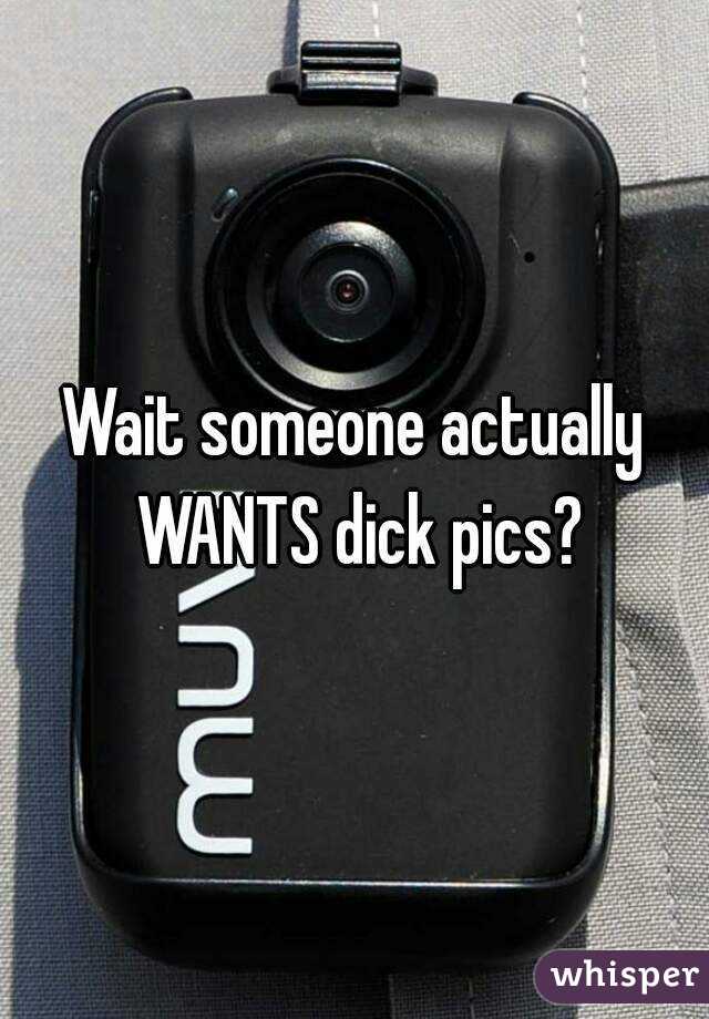 Wait someone actually WANTS dick pics?