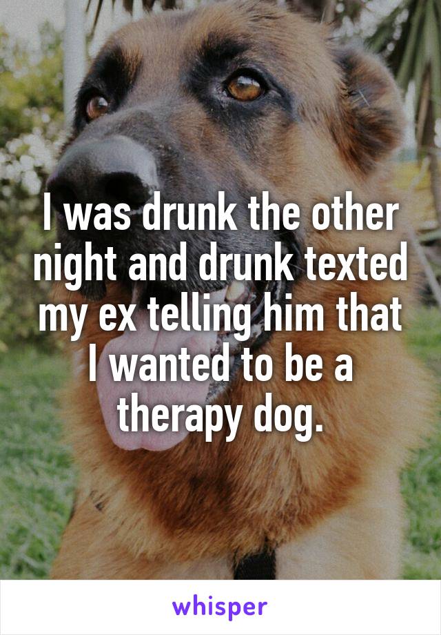I was drunk the other night and drunk texted my ex telling him that I wanted to be a therapy dog.