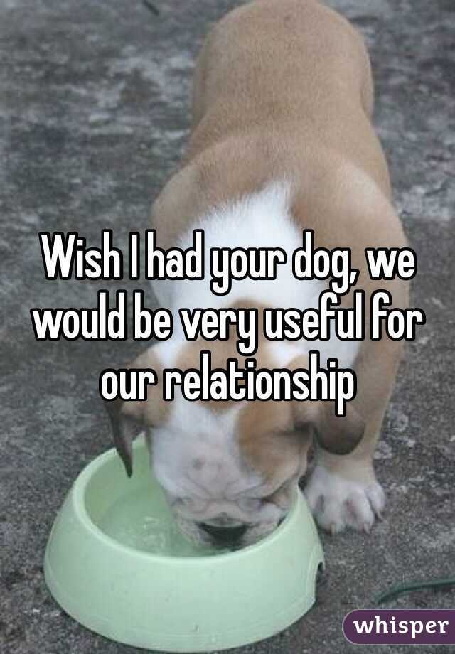 Wish I had your dog, we would be very useful for our relationship