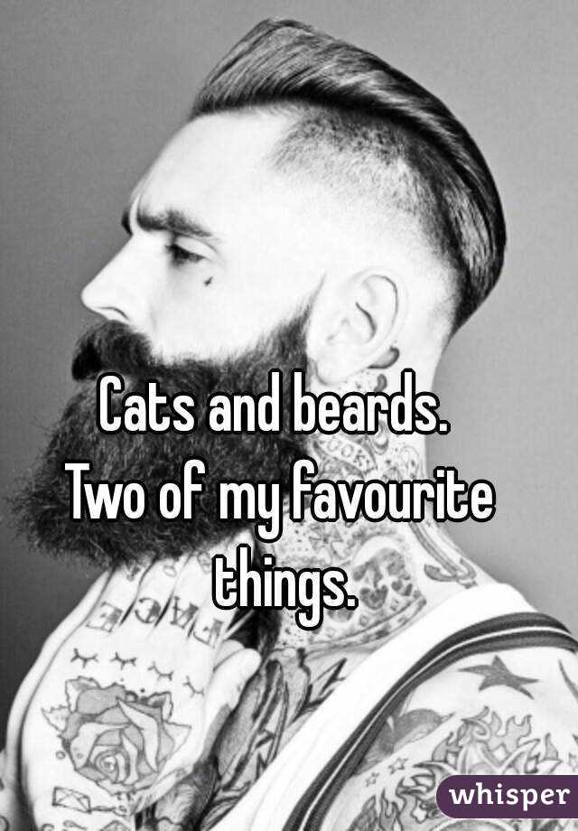 Cats and beards. 
Two of my favourite things.