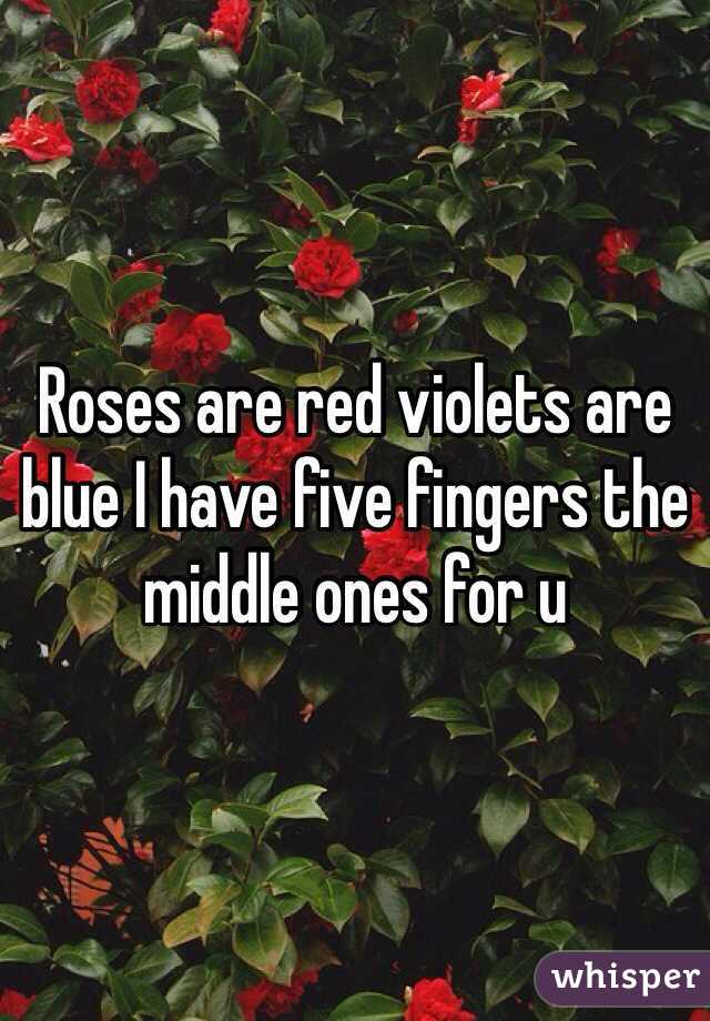 Roses are red violets are blue I have five fingers the middle ones for u