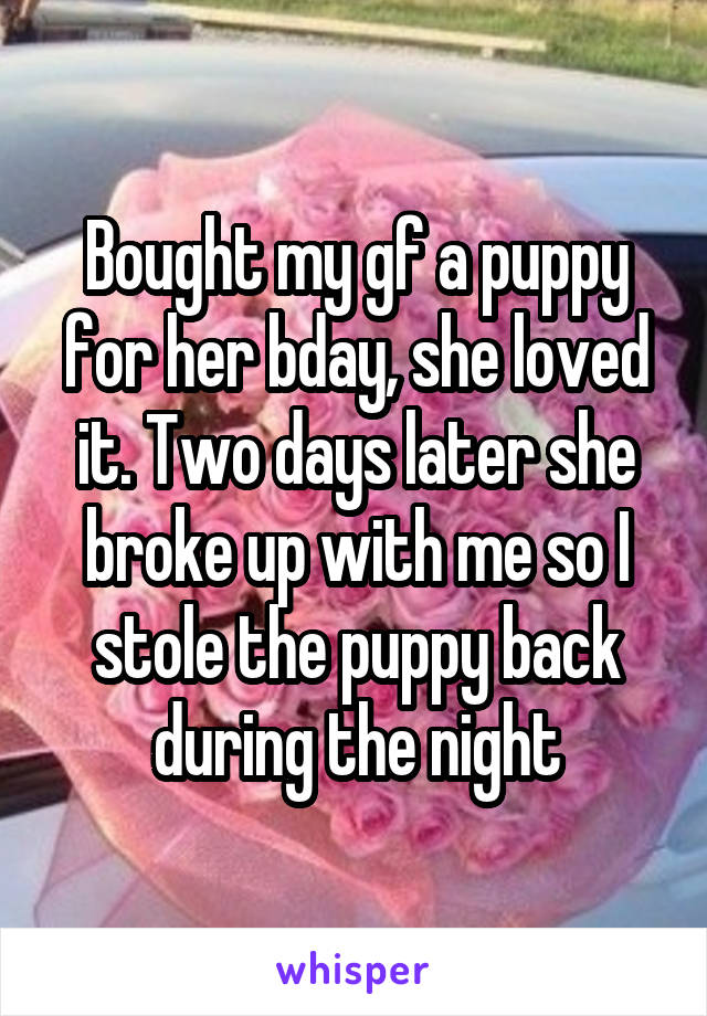 Bought my gf a puppy for her bday, she loved it. Two days later she broke up with me so I stole the puppy back during the night