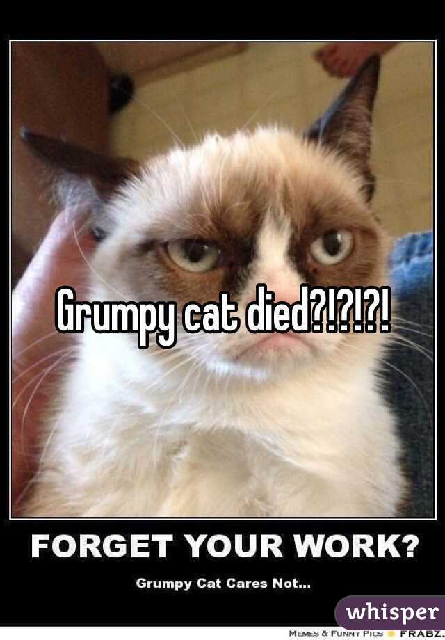 Grumpy cat died?!?!?!