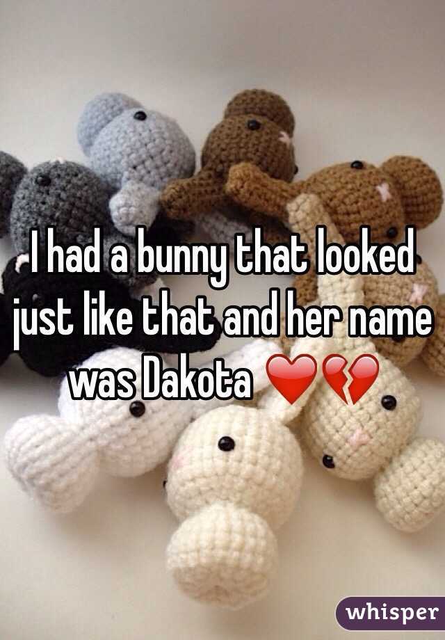 I had a bunny that looked just like that and her name was Dakota ❤️💔