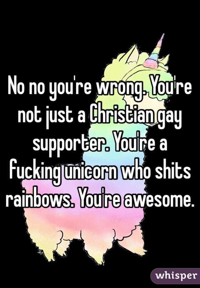 No no you're wrong. You're not just a Christian gay supporter. You're a fucking unicorn who shits rainbows. You're awesome.