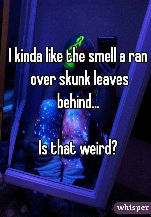 I kinda like the smell a ran over skunk leaves behind... 

Is that weird?