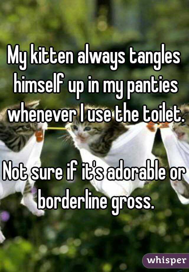 My kitten always tangles himself up in my panties whenever I use the toilet.

Not sure if it's adorable or borderline gross.
