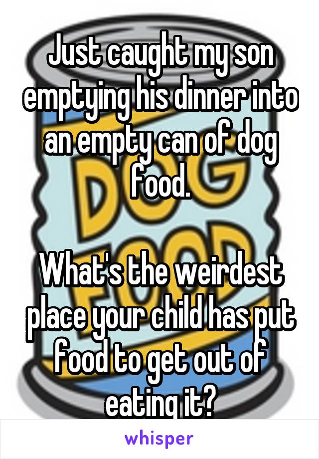 Just caught my son emptying his dinner into an empty can of dog food.

What's the weirdest place your child has put food to get out of eating it?