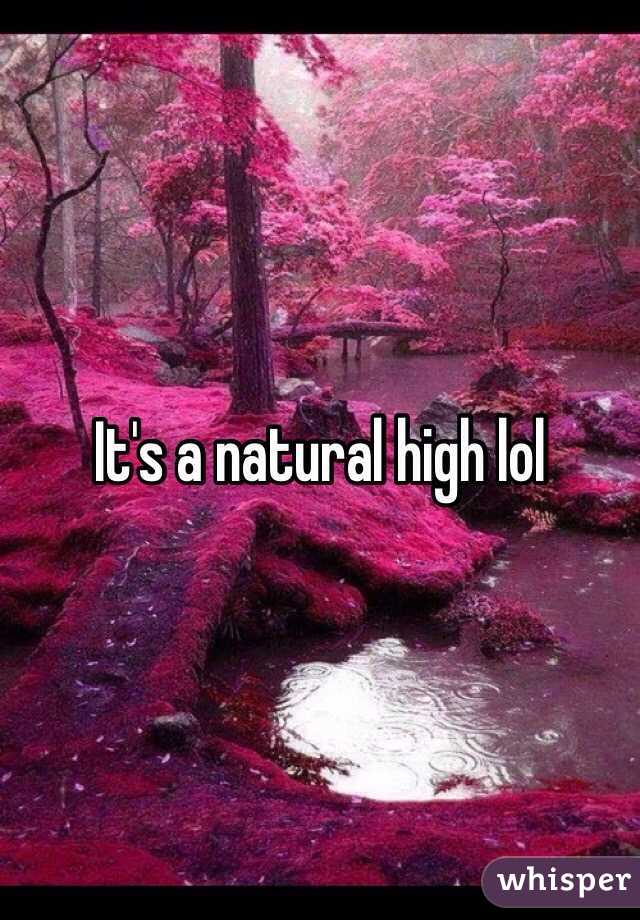 How high are you?