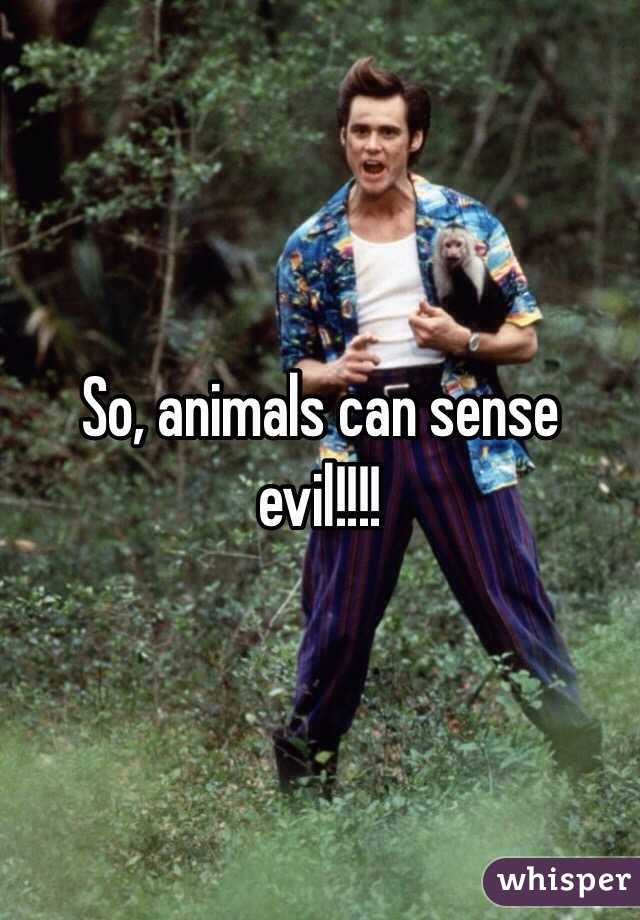 So, animals can sense evil!!!!