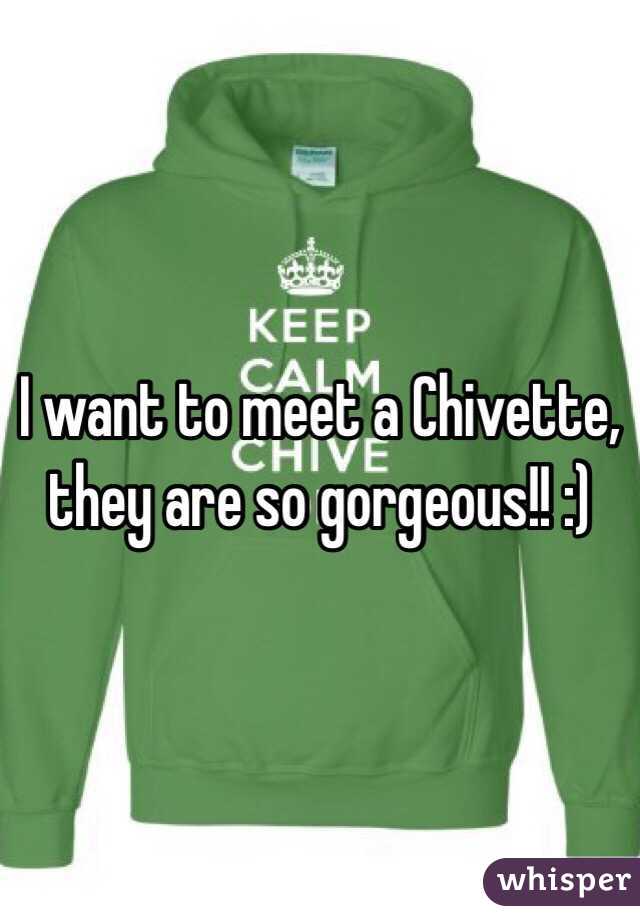 I want to meet a Chivette, they are so gorgeous!! :) 