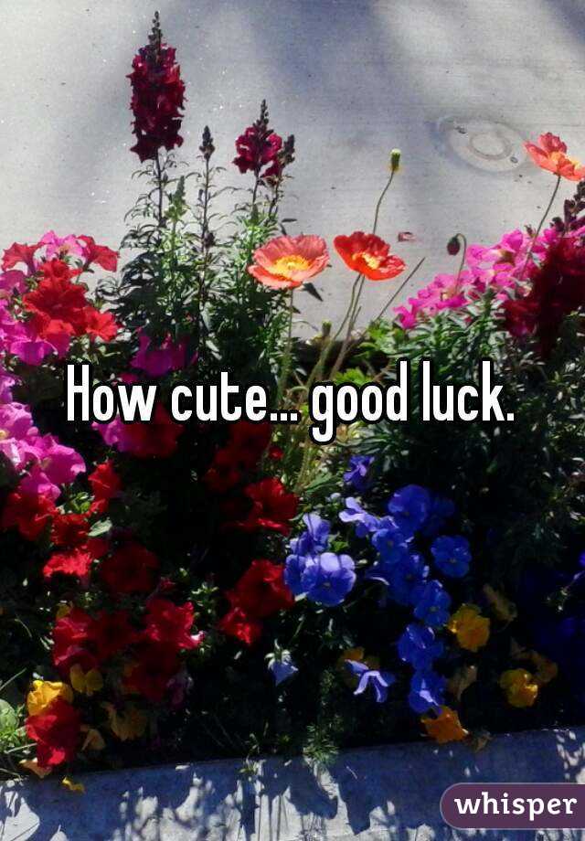 How cute... good luck.