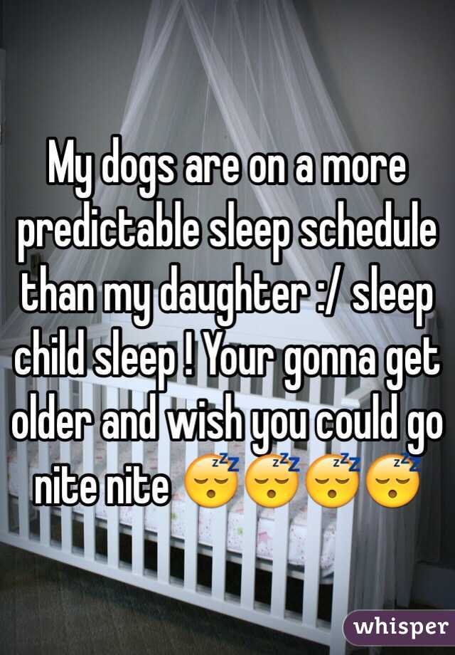 My dogs are on a more predictable sleep schedule than my daughter :/ sleep child sleep ! Your gonna get older and wish you could go nite nite 😴😴😴😴