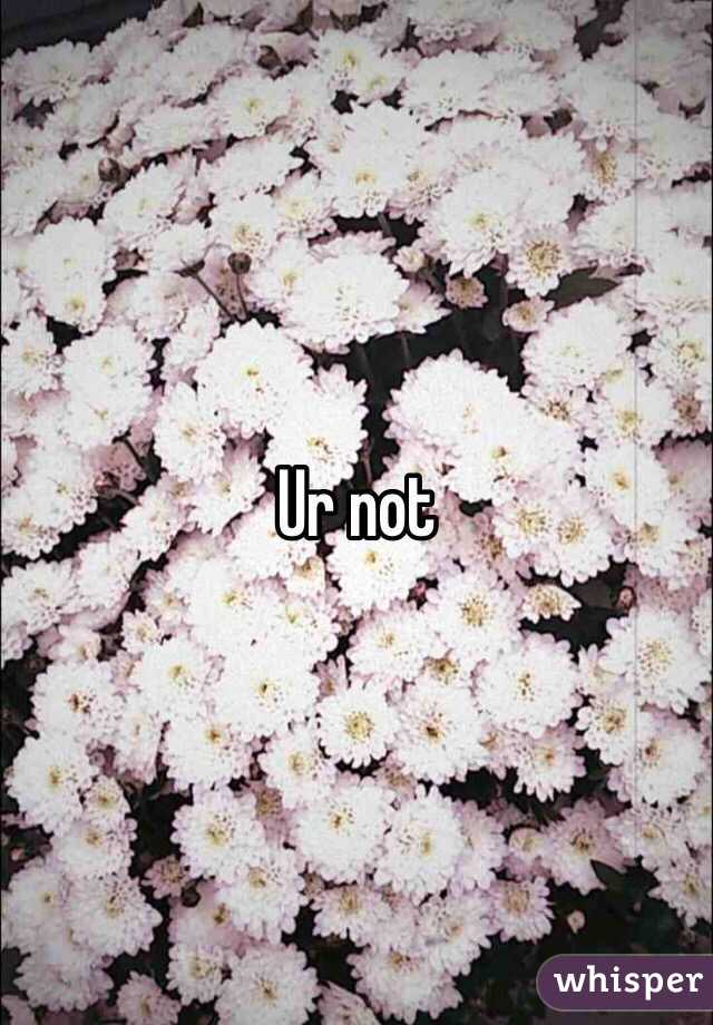 Ur not 
