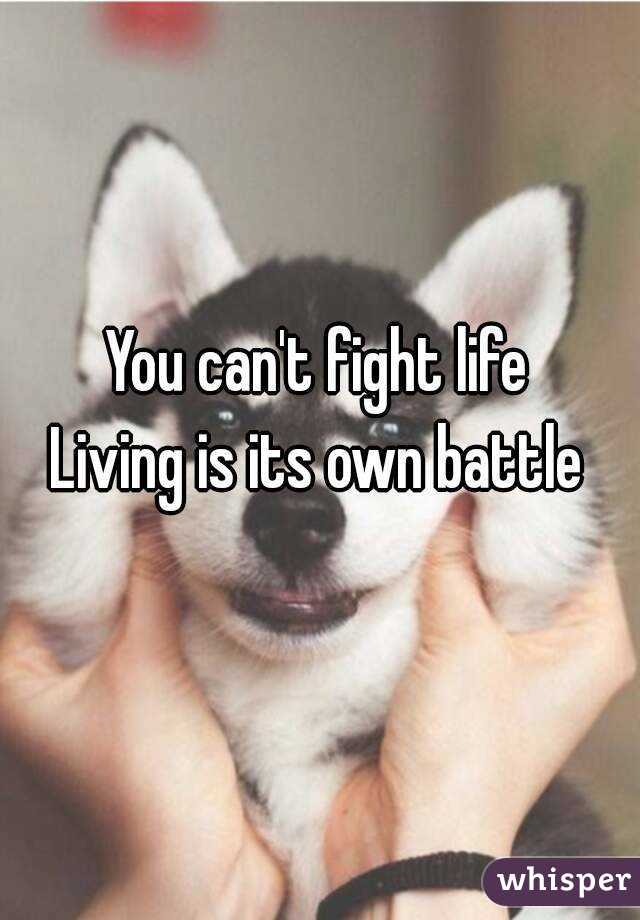 You can't fight life
Living is its own battle
