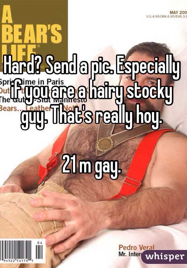 Hard? Send a pic. Especially if you are a hairy stocky guy. That's really hoy. 

21 m gay. 