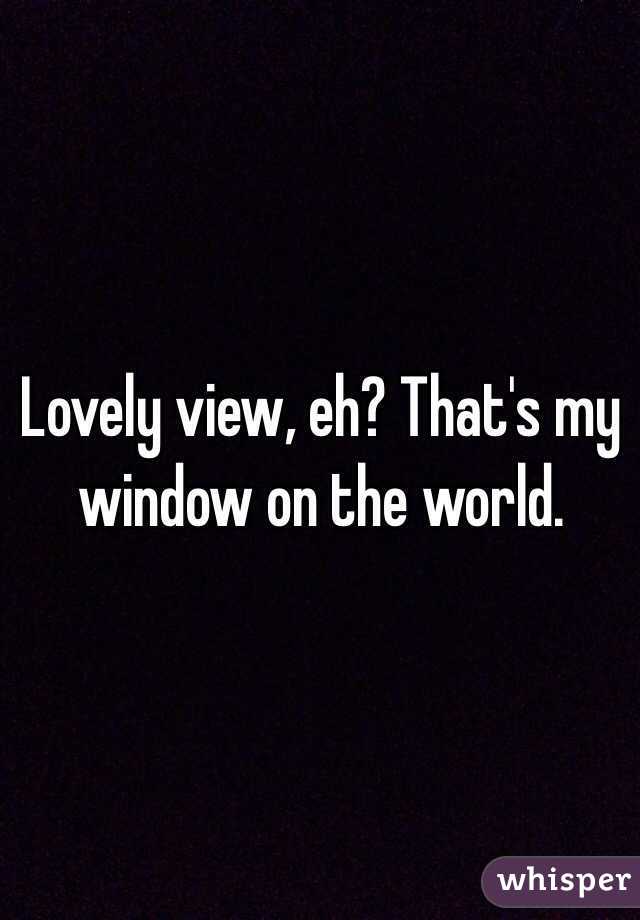 Lovely view, eh? That's my window on the world.