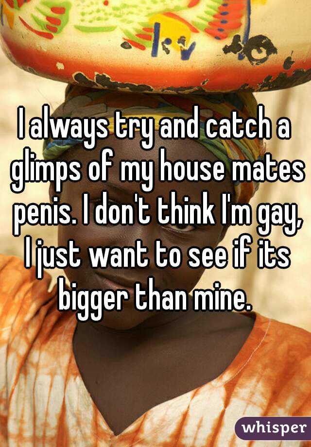 I always try and catch a glimps of my house mates penis. I don't think I'm gay, I just want to see if its bigger than mine. 

