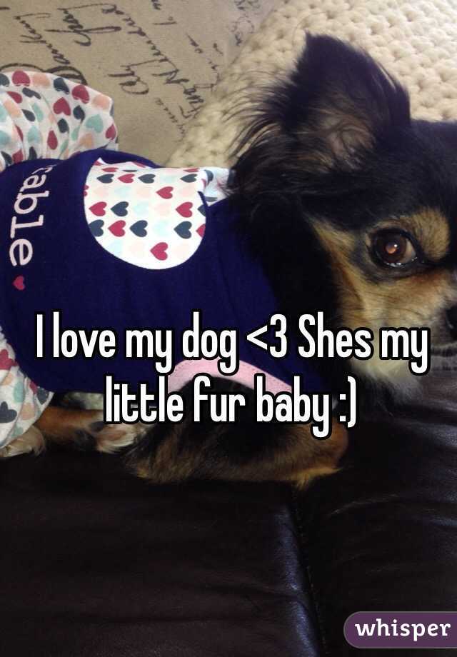 I love my dog <3 Shes my little fur baby :) 