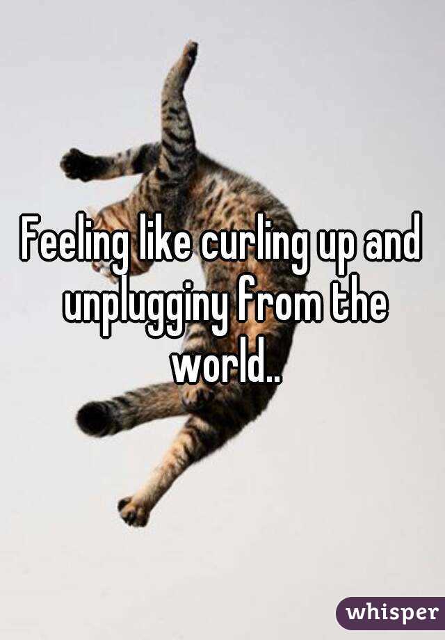 Feeling like curling up and unplugginy from the world..