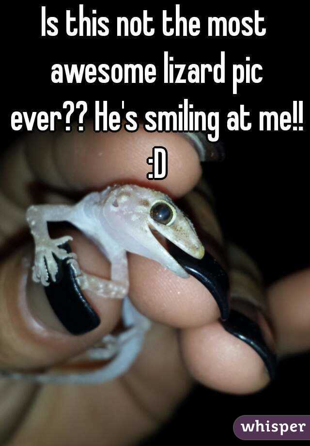 Is this not the most awesome lizard pic ever?? He's smiling at me!! :D