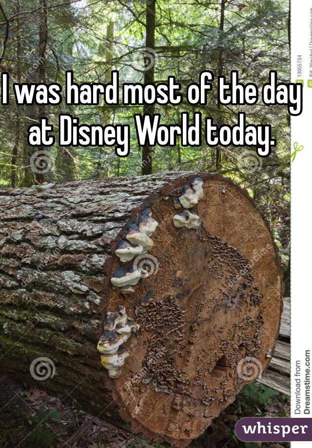 I was hard most of the day at Disney World today. 