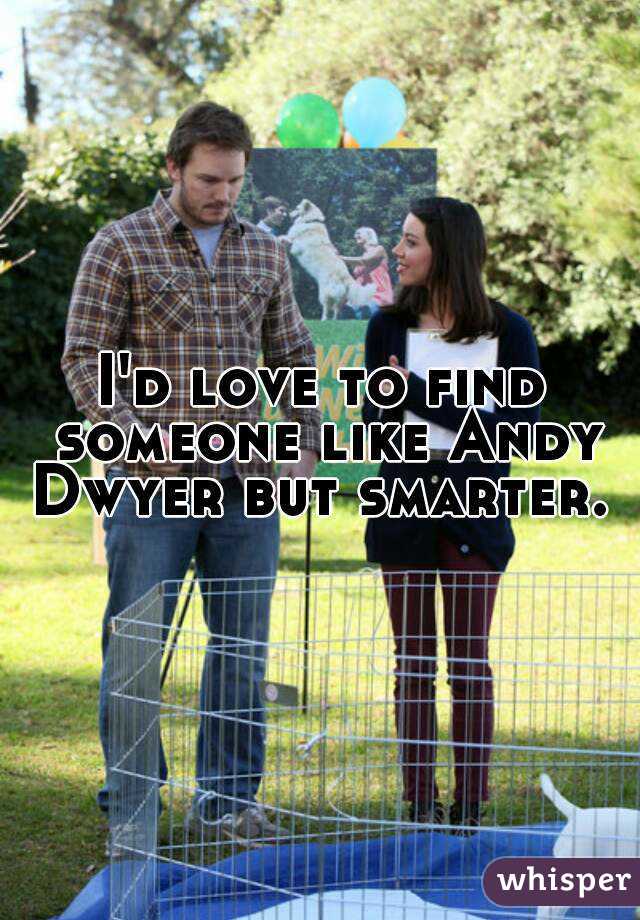 I'd love to find someone like Andy Dwyer but smarter. 