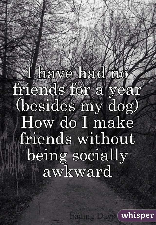 I have had no friends for a year (besides my dog) 
How do I make friends without being socially awkward 