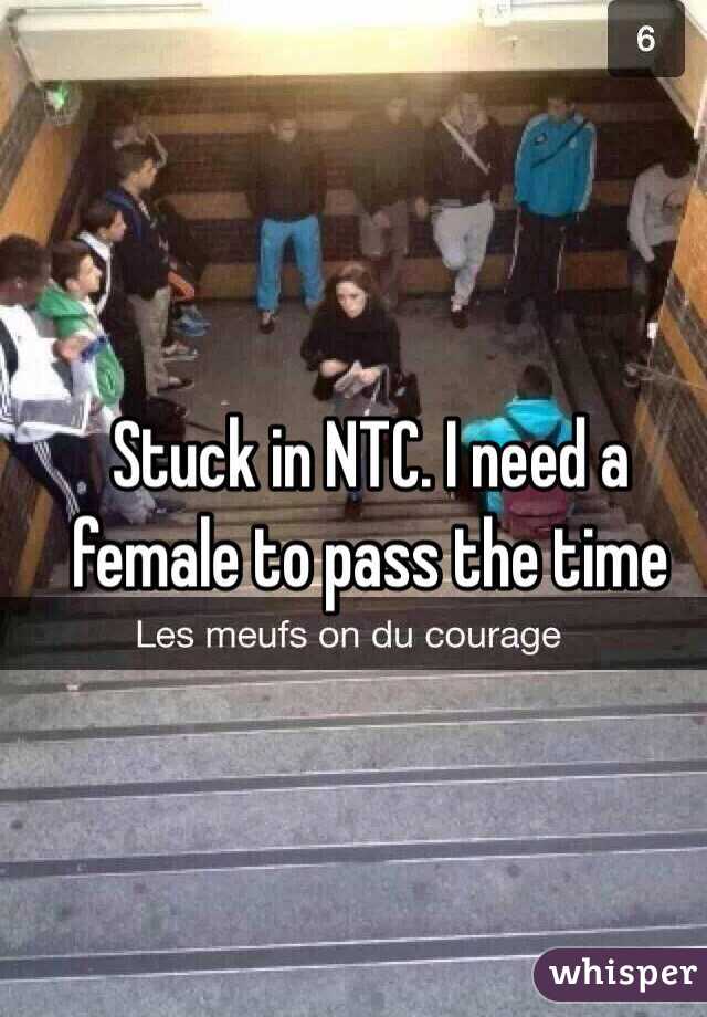 Stuck in NTC. I need a female to pass the time