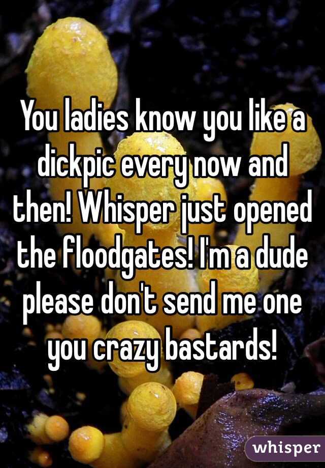 You ladies know you like a dickpic every now and then! Whisper just opened the floodgates! I'm a dude please don't send me one you crazy bastards!