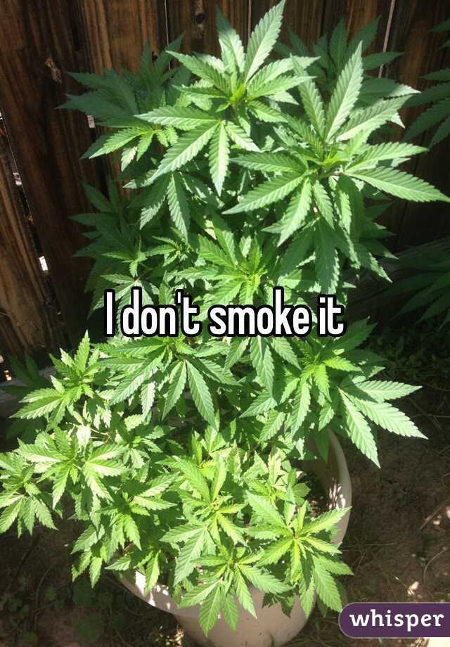 I don't smoke it 