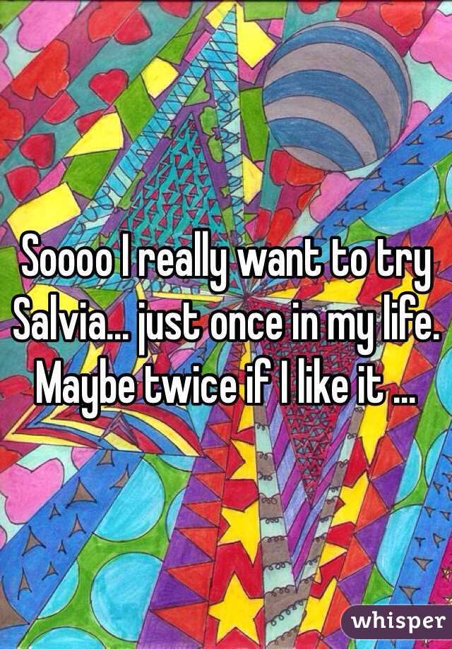 Soooo I really want to try Salvia... just once in my life. Maybe twice if I like it ... 