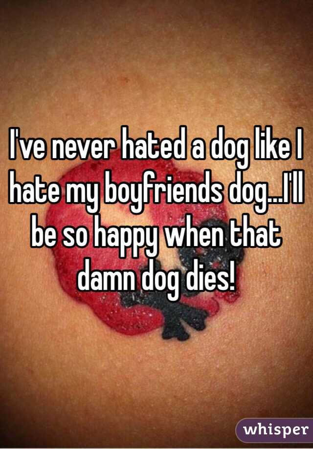 I've never hated a dog like I hate my boyfriends dog...I'll be so happy when that damn dog dies! 