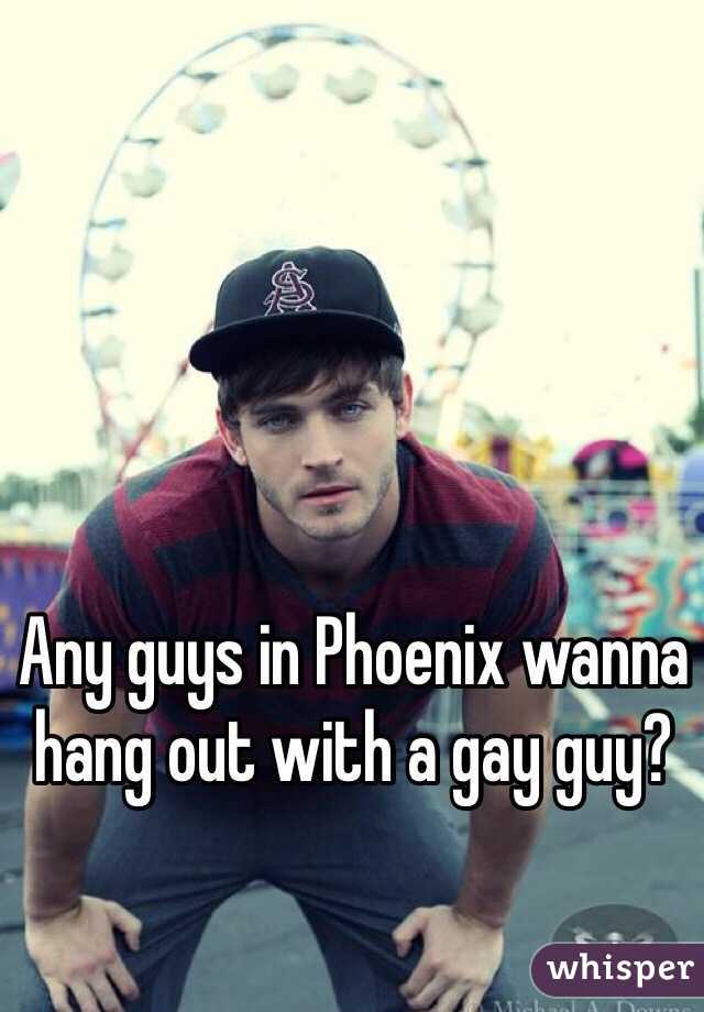 Any guys in Phoenix wanna hang out with a gay guy? 