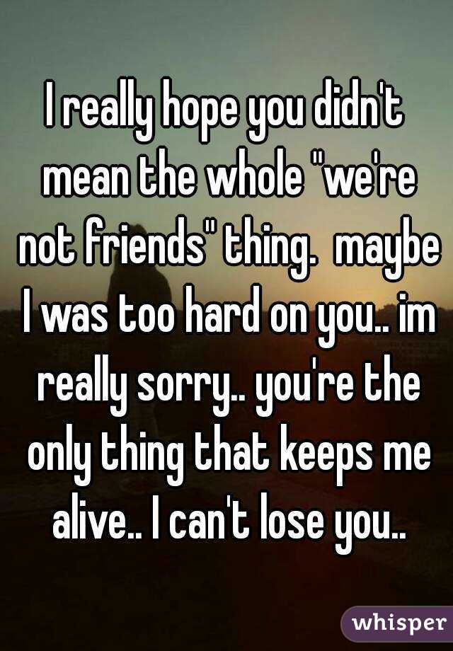 I really hope you didn't mean the whole "we're not friends" thing.  maybe I was too hard on you.. im really sorry.. you're the only thing that keeps me alive.. I can't lose you..