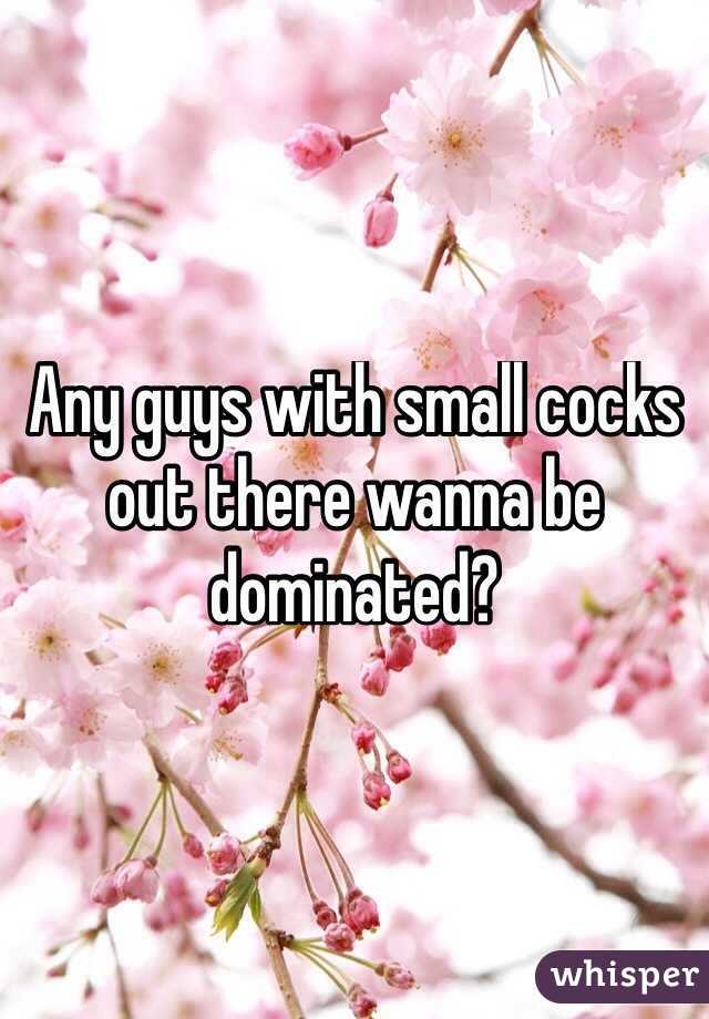 Any guys with small cocks out there wanna be dominated?
