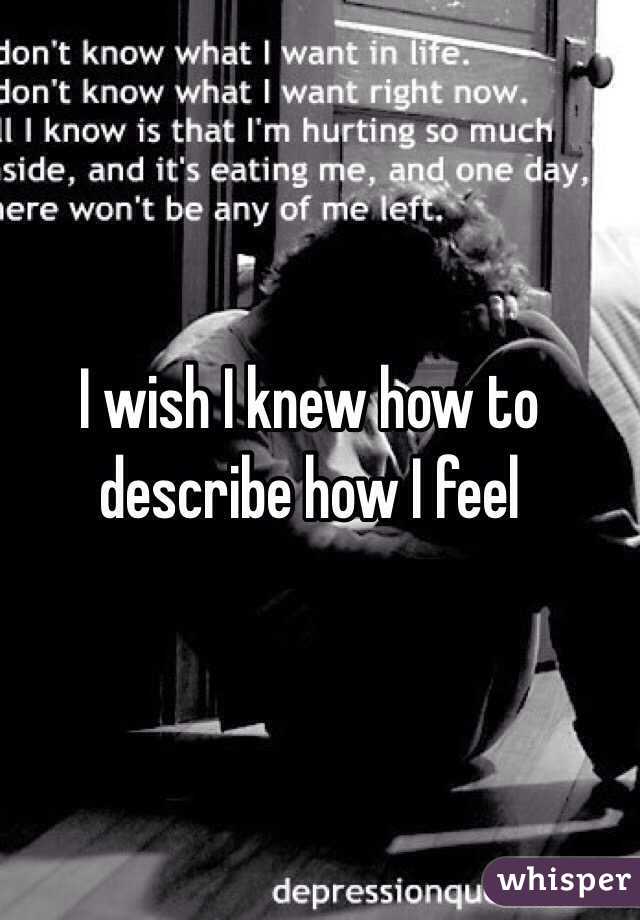 I wish I knew how to describe how I feel 